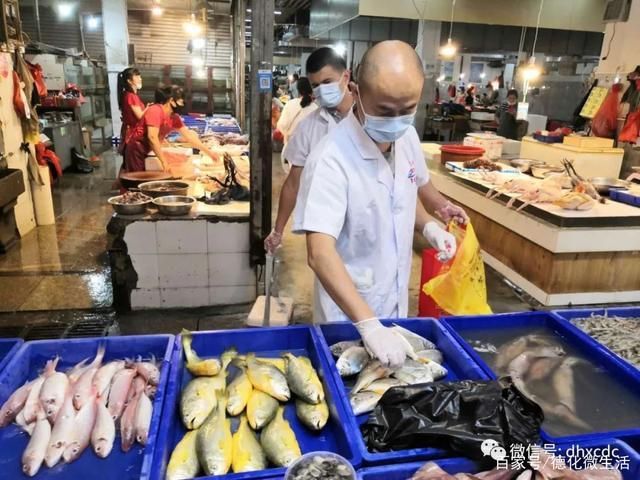 【德化县最新疫情情况通报_德化县重大事件最新动态】