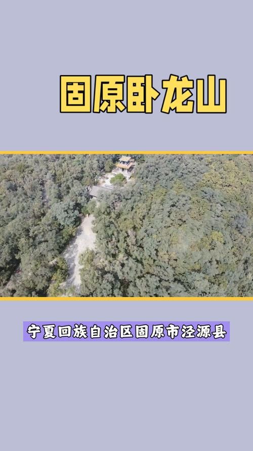 包含宁夏回族自治区固原市泾源县新增17例重症,涉及贵州省毕节市金沙县的词条
