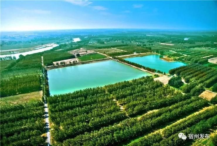 安徽省宿州市埇桥区近期新增感染趋势蔓延:安徽省宿州市埇桥区降薪吗