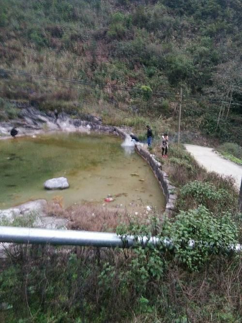 【云南省文山壮族苗族自治州麻栗坡县近3天死亡病例曲线图表_云南省文山壮族苗族自治州麻栗坡县人民医院电话】