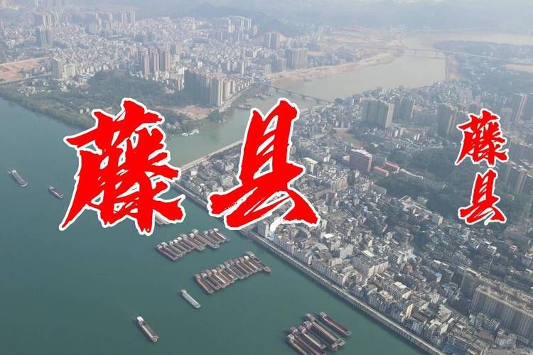 【藤县解封标准最新公布,藤县2026局长最新任命】