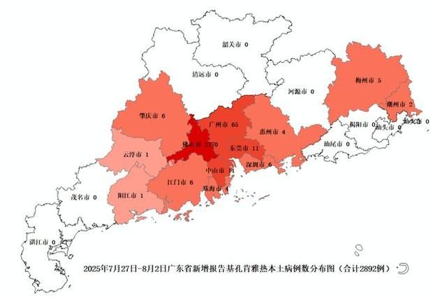 广东湛江坡头区几个地区有疫情发生:广东湛江有两例疫情吗
