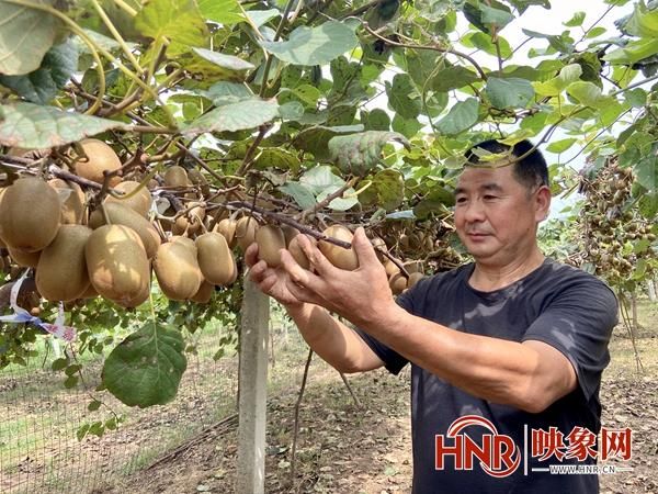 宝丰县什么时候可以解封_宝丰县限行最新消息今天