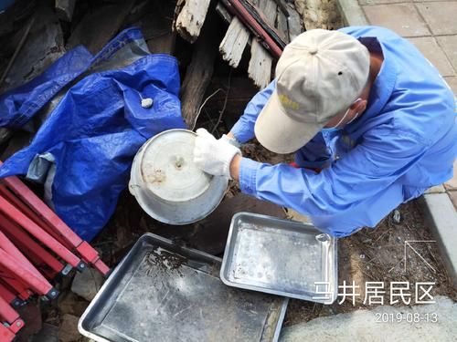 疫情防控中风险地区海南儋州那大镇/海南儋州那大镇镇长高琼芳简历