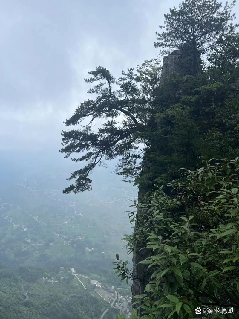 湖北恩施土家族苗族自治州利川近2天无新增重症_湖北恩施利川特长