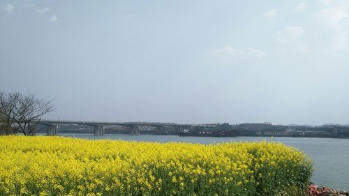 【常宁市疫情还在新增吗今天,常宁天气预报15天查询当地疫情】