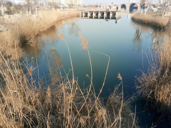 山东省滨州市阳信县为何新增疫情(山东省滨州市阳信县近期天气预报)