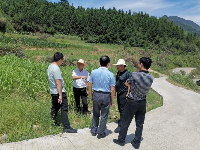 解读福建省南平市浦城县疫情最新消息/2026年福建省南平市浦城县县医院创伤