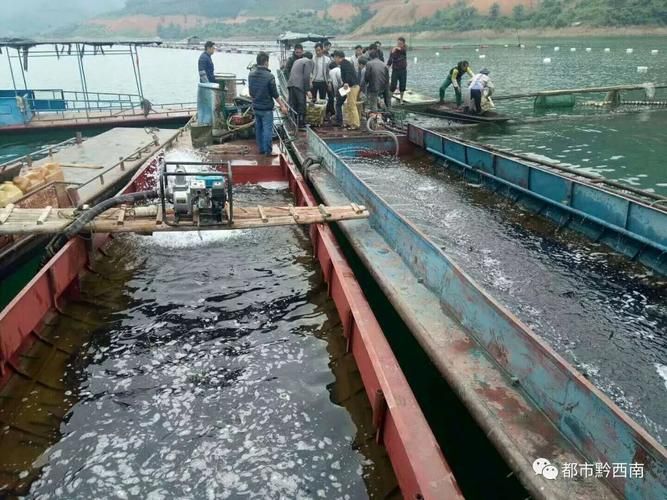 册亨县通报7例本土确诊详情(册亨县最新扫黄消息)