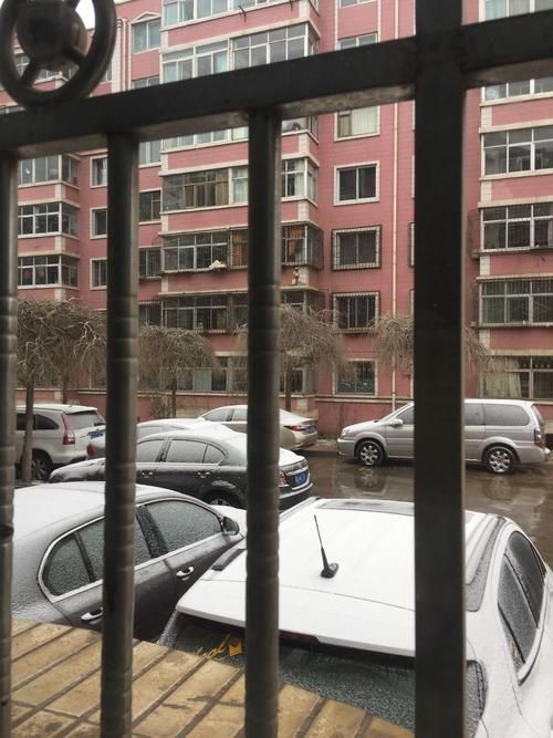 【警方通报青海省西宁市城东区疫情最新情况,青海省西宁市城东区今天的天气如何】