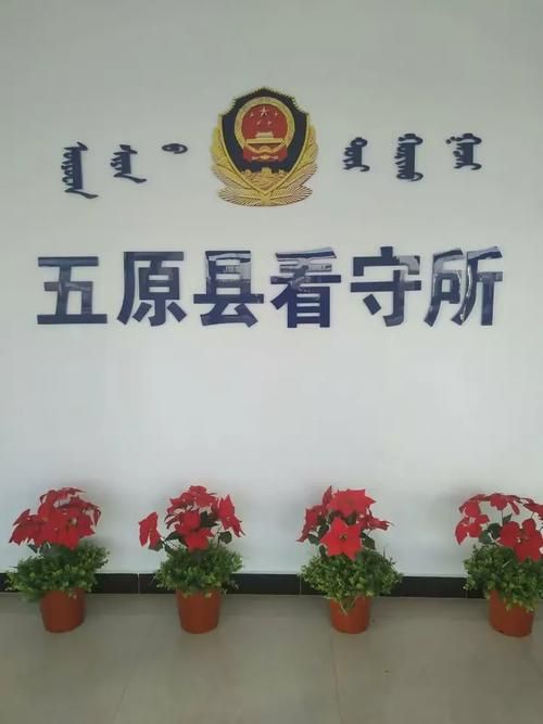 查找山东省泰安市宁阳县最新疫情(山东省泰安市宁阳县看守所)
