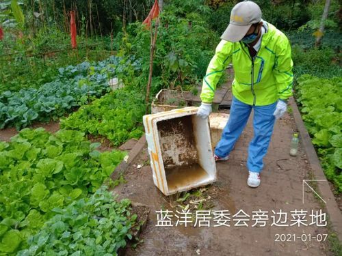 疫情防控中风险地区!海南省儋州市兰洋镇_儋州市兰洋镇综合执法中队的队员名单