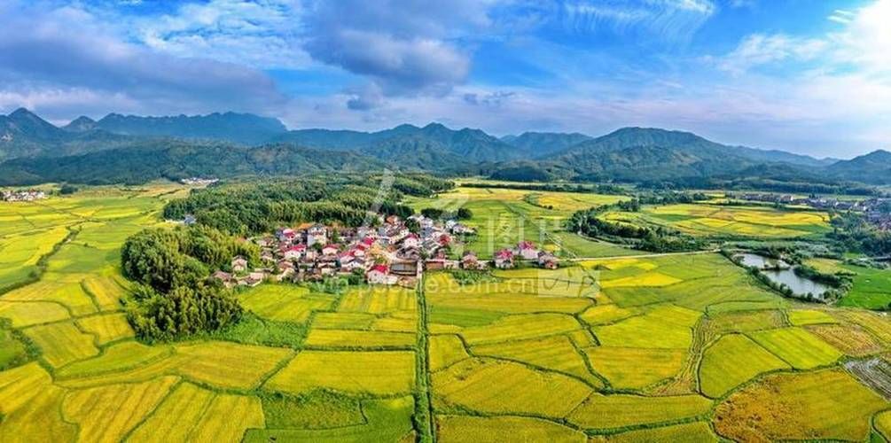 最新疫情情况通报江西抚州金溪县_江西抚州金溪县种植水稻哪些乡镇水源条比较好