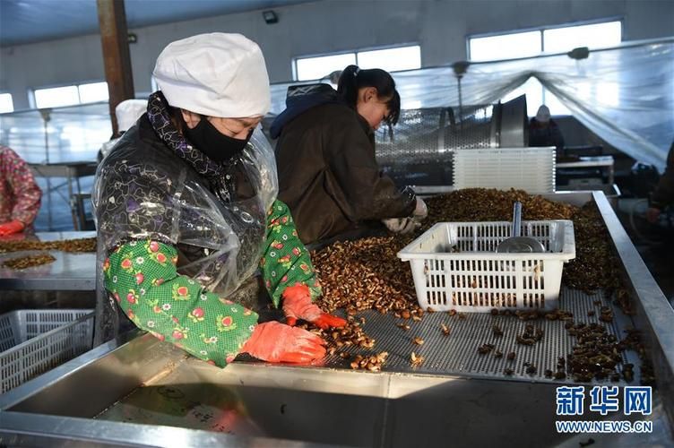 【克东县有什么疫情地区,克东县有洪水吗】
