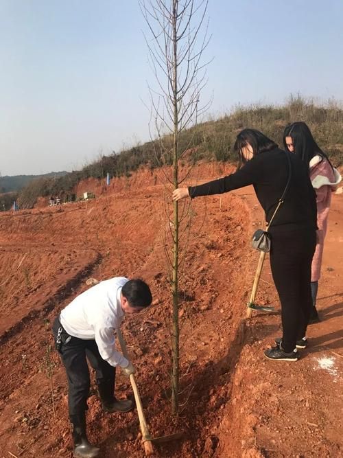 【湖南株洲天元区疫情地区分布_湖南株洲天元区临终关怀医院】