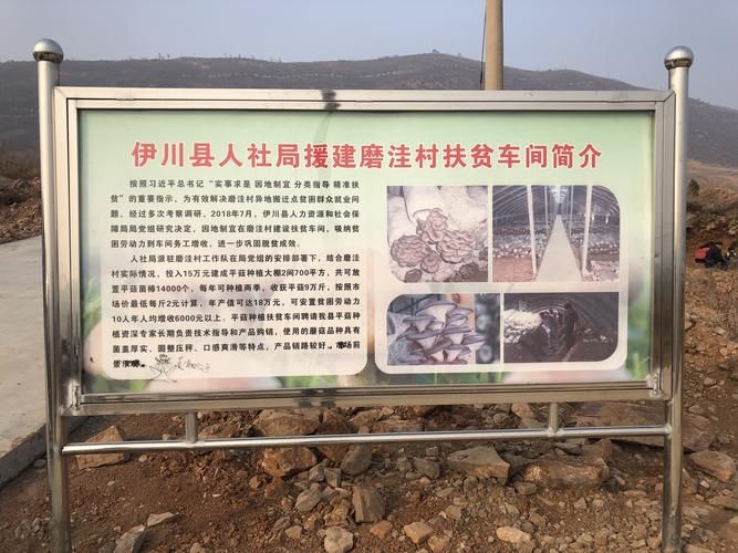 【山西省忻州市五寨县疫情最新表解,山西省忻州市五寨县三岔镇的积温是多少】