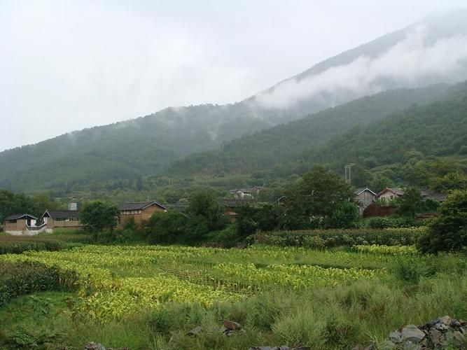 【玉龙纳西族自治县哪里地区有疫情了呢,2025年玉龙纳西族自治县黎明乡有几个人口】