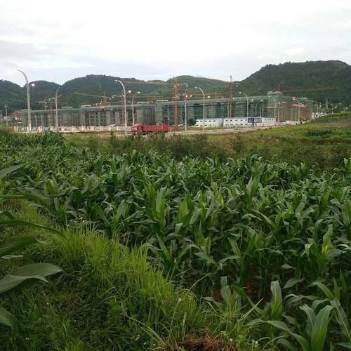 贵州省黔南布依族苗族自治州独山县最新疫情_黔南布依族苗族自治州独山县天气预报查询