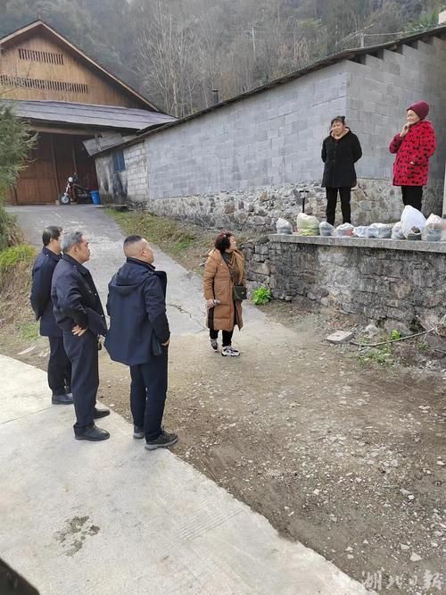 【查找鹤峰县最新疫情,鹤峰县最新新闻消息】