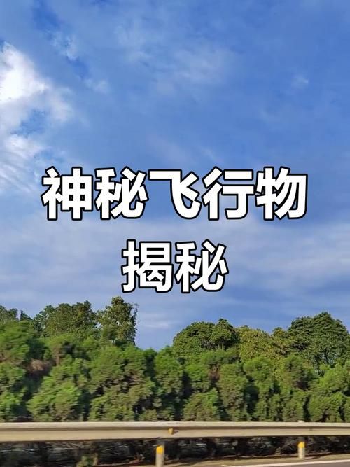 发现四川省成都市都江堰市1名密接者!_都江堰市不明飞行物