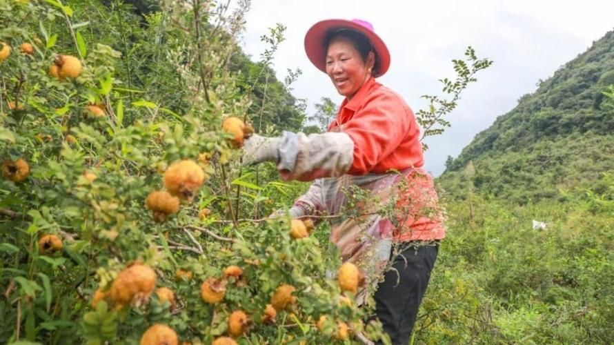  长顺县现有本土确诊10例:长顺县最新消息