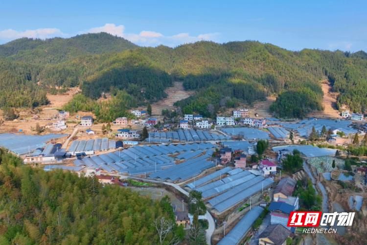 湖南省郴州市桂东县发现1名密接者!(湖南省郴州市桂东县寨前是镇还是乡)