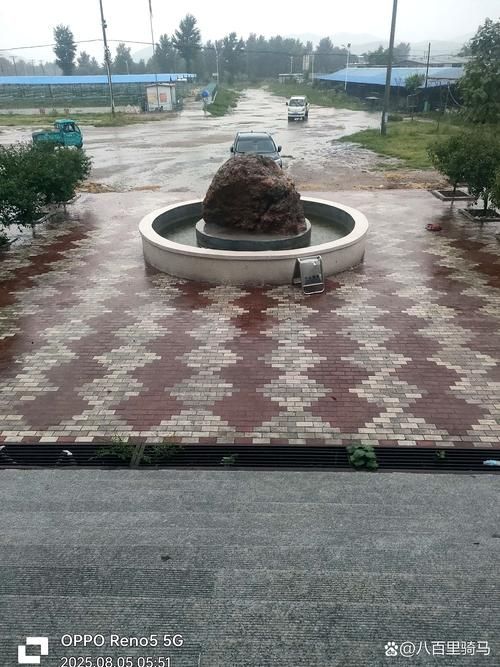 【辽宁阜新哪里地区有疫情了呢_辽宁阜新哪天有雨啊】