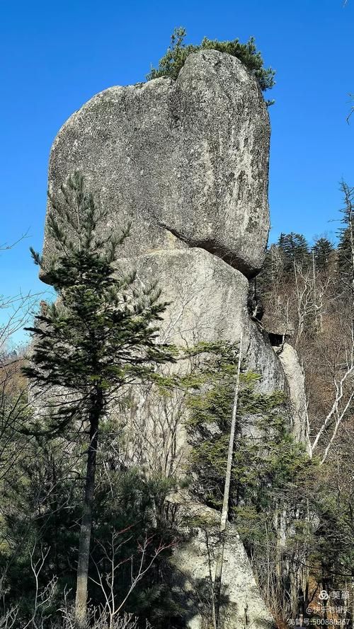 吉林白山江源区算是疫情风险地区吗_吉林白山江源天气萝卜最适宜的生长