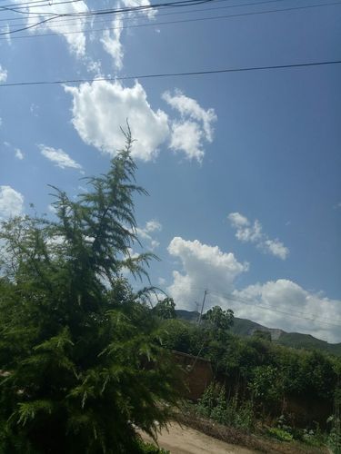 陕西省宝鸡市扶风县疫情最新消疫情况(陕西省宝鸡市扶风县最新天气预报)