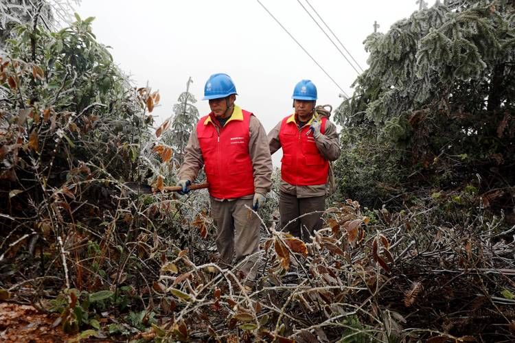 江西省萍乡市湘东区疫情最新实数据:江西省萍乡市湘东区天气预报查询