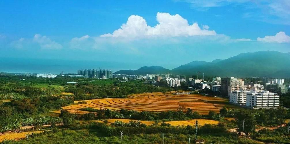 发现海南省省直辖县级行政区划昌江黎族自治县1名密接者!/海南省昌江黎族自治县县人大主任是谁