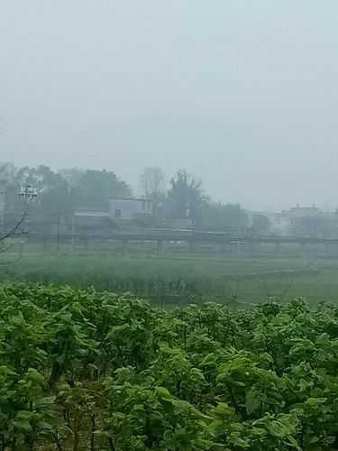 江西省九江市共青城市疫情还在新增吗今天(江西省九江市共青城市未来15天天气预报)