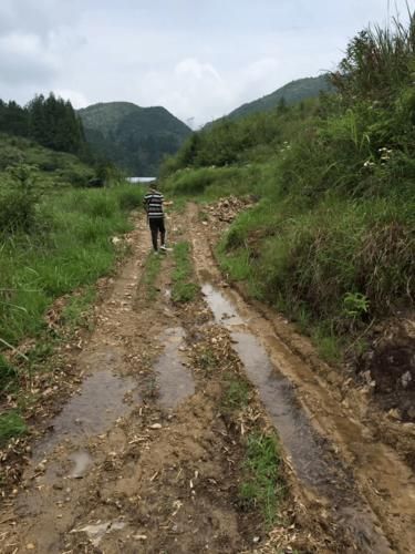光泽县疫情风险地区划分_光泽县一年气候变化