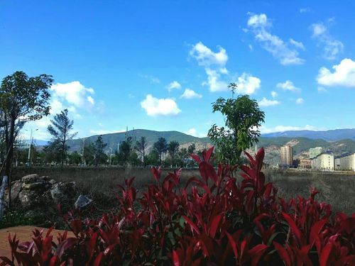 【洱源县算是疫情风险地区吗_洱源县有极端天气吗】
