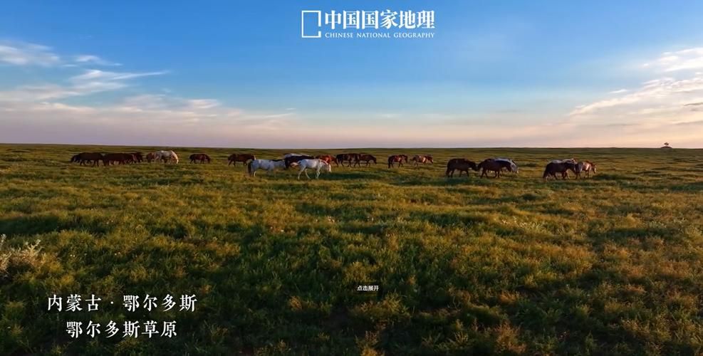 【内蒙古自治区鄂尔多斯杭锦旗中高风险地区疫情_内蒙古自治区鄂尔多斯市杭锦旗正在获取数据】